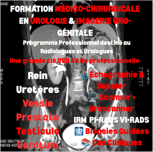 🎓 PROGRAMME DE FORMATION MÉDICO-CHIRURGICALE EN UROLOGIE ET IMAGERIE URO-GÉNITALE